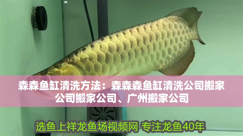 森森魚缸清洗方法：森森森魚缸清洗公司搬家公司搬家公司、廣州搬家公司