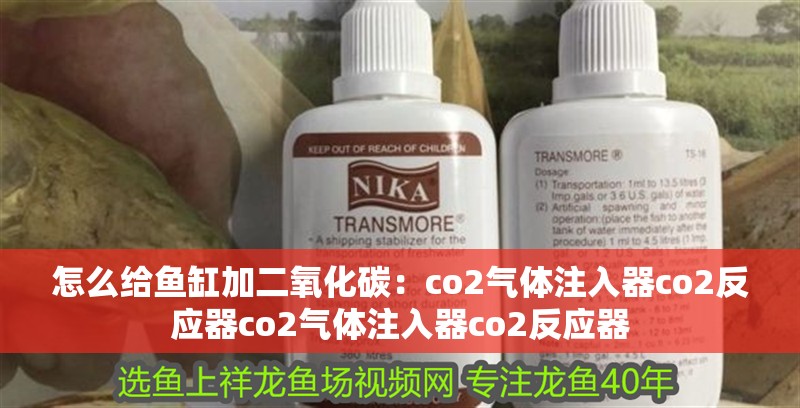 怎么給魚缸加二氧化碳：co2氣體注入器co2反應器co2氣體注入器co2反應器 怎么給魚缸加二氧化碳：co2氣體注入器co2反應器co2氣體注入器co2反應器 魚缸百科