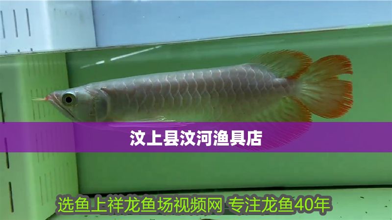汶上縣汶河漁具店 全國水族館企業(yè)名錄 第1張 汶上縣汶河漁具店 汶上縣汶河漁具店 全國水族館企業(yè)名錄 第1張