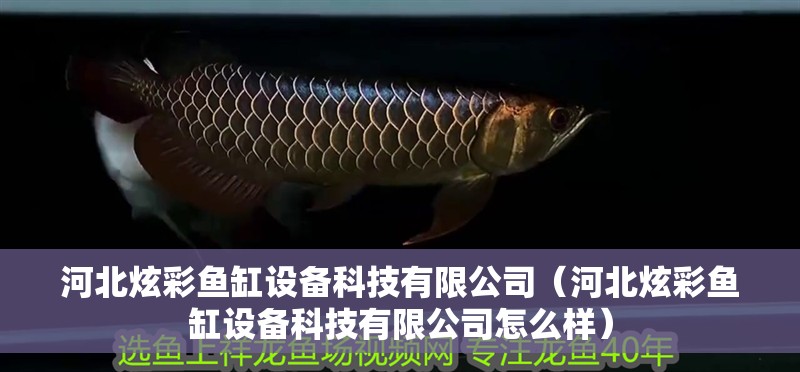 河北炫彩魚缸設備科技有限公司（河北炫彩魚缸設備科技有限公司怎么樣）