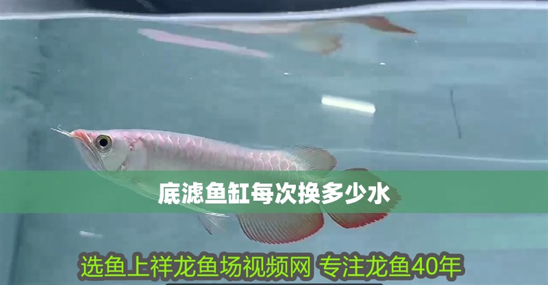 底濾魚(yú)缸每次換多少水
