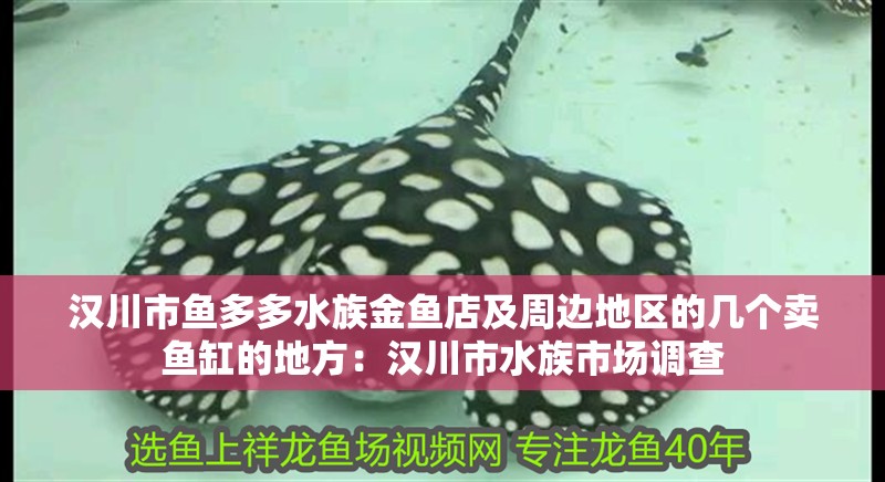 漢川市魚多多水族金魚店及周邊地區(qū)的幾個(gè)賣魚缸的地方：漢川市水族市場(chǎng)調(diào)查 漢川市魚多多水族金魚店及周邊地區(qū)的幾個(gè)賣魚缸的地方：漢川市水族市場(chǎng)調(diào)查 魚缸百科