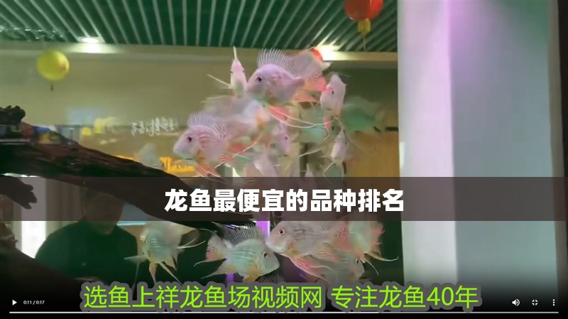 龍魚最便宜的品種排名