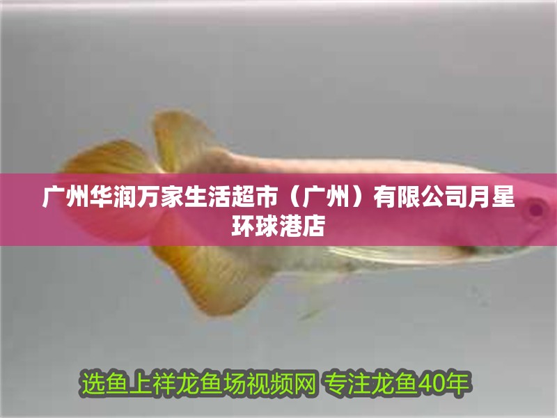 廣州華潤萬家生活超市（廣州）有限公司月星環球港店