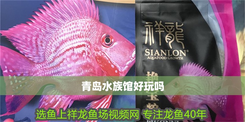 魚缸用增氧泵價格是多少:魚缸增氧機-xtrac增氧機-xtrac增氧機 青島水族館好玩嗎 龍魚論壇 青島水族館好玩嗎 青島水族館好玩嗎 龍魚論壇