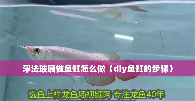 浮法玻璃做魚缸怎么做（diy魚缸的步驟）