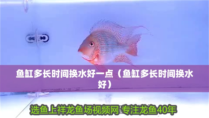 魚缸多長時(shí)間換水好一點(diǎn)（魚缸多長時(shí)間換水好）