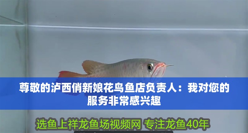 尊敬的瀘西俏新娘花鳥魚店負責人：我對您的服務非常感興趣