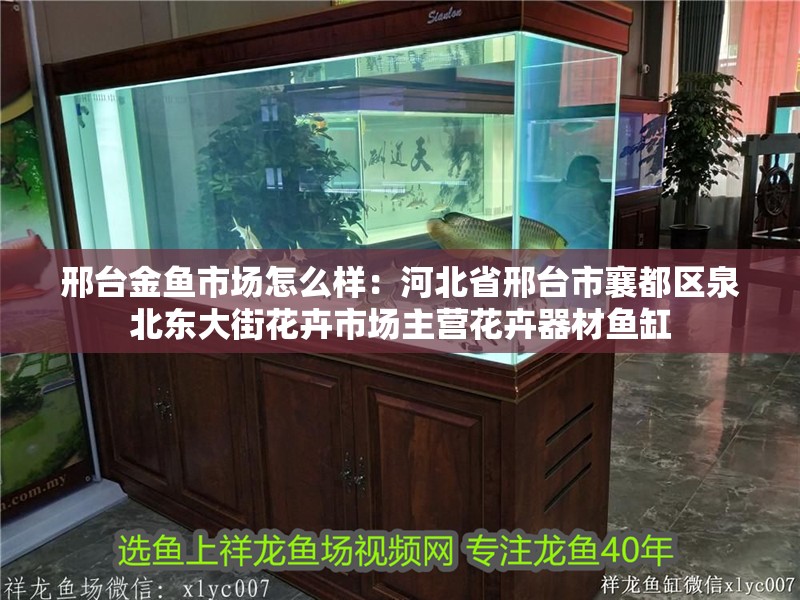 邢臺金魚市場怎么樣：河北省邢臺市襄都區泉北東大街花卉市場主營花卉器材魚缸
