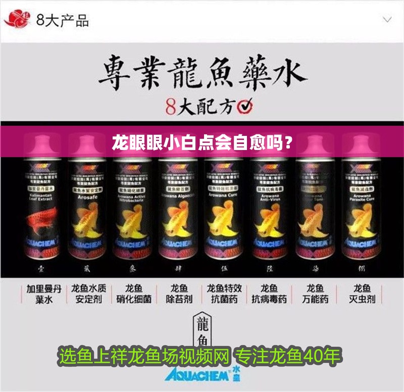 龍眼眼小白點會自愈嗎？ 龍眼眼小白點會自愈嗎？ 龍魚論壇
