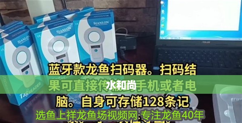 水和尚 水和尚 龍魚論壇