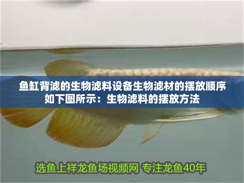 魚缸背濾的生物濾料設(shè)備生物濾材的擺放順序如下圖所示：生物濾料的擺放方法 魚缸背濾的生物濾料設(shè)備生物濾材的擺放順序如下圖所示：生物濾料的擺放方法 魚缸百科