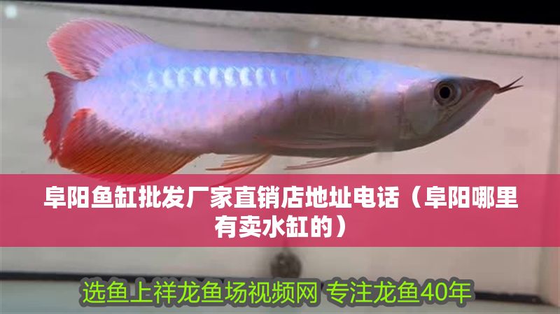 阜陽魚缸批發(fā)廠家直銷店地址電話（阜陽哪里有賣水缸的）
