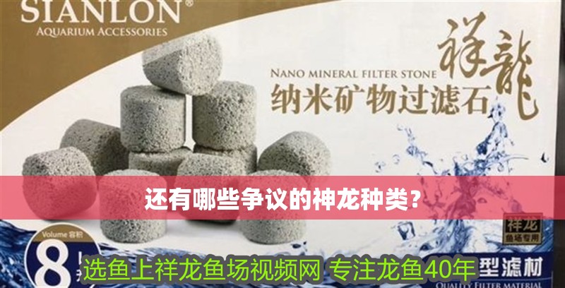 龍魚干蝦有營養嗎 還有哪些爭議的神龍種類? 龍魚論壇 還有哪些爭議的神龍種類? 還有哪些爭議的神龍種類? 龍魚論壇