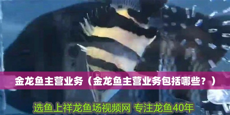 金龍魚主營業務（金龍魚主營業務包括哪些？）