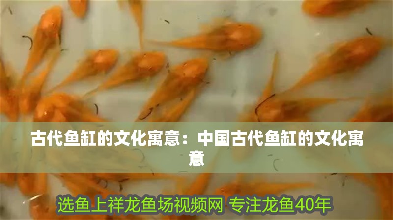 古代魚缸的文化寓意：中國古代魚缸的文化寓意