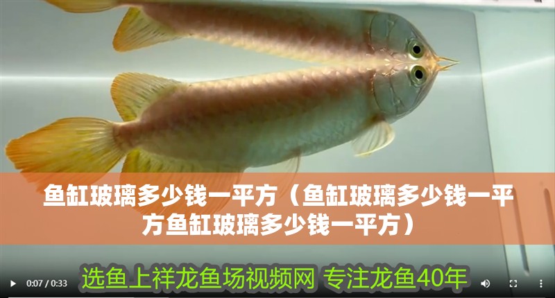 魚缸玻璃多少錢一平方（魚缸玻璃多少錢一平方魚缸玻璃多少錢一平方）
