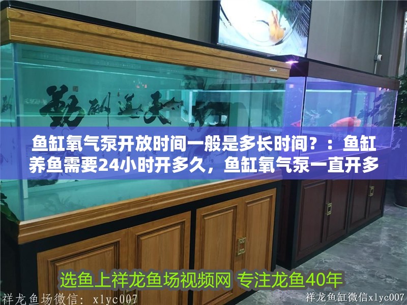 魚缸氧氣泵開放時間一般是多長時間？：魚缸養(yǎng)魚需要24小時開多久，魚缸氧氣泵一直開多久最好
