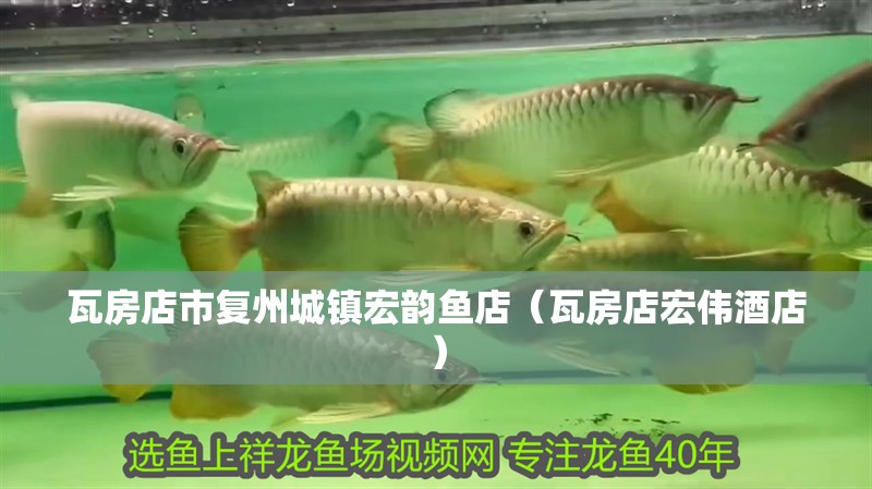 <strong><mark>瓦房店</mark></strong>市復(fù)州城鎮(zhèn)宏韻魚店（<strong><mark>瓦房店</mark></strong>宏偉酒店）