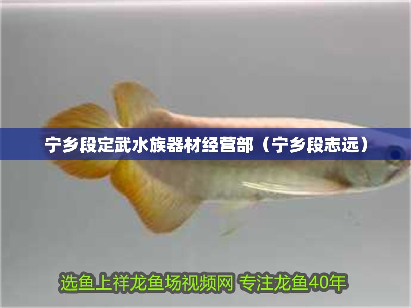 寧鄉(xiāng)段定武水族器材經(jīng)營部（寧鄉(xiāng)段志遠）