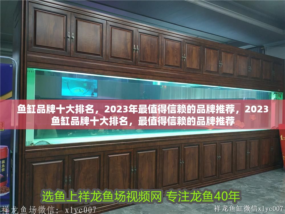 魚缸品牌十大排名，2023年最值得信賴的品牌推薦，2023魚缸品牌十大排名，最值得信賴的品牌推薦