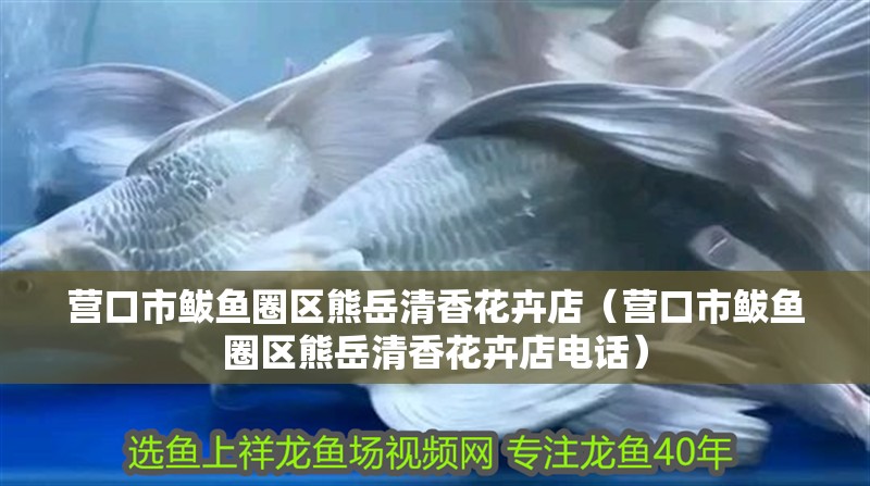 營口市鲅魚圈區熊岳清香花卉店（營口市鲅魚圈區熊岳清香花卉店電話）