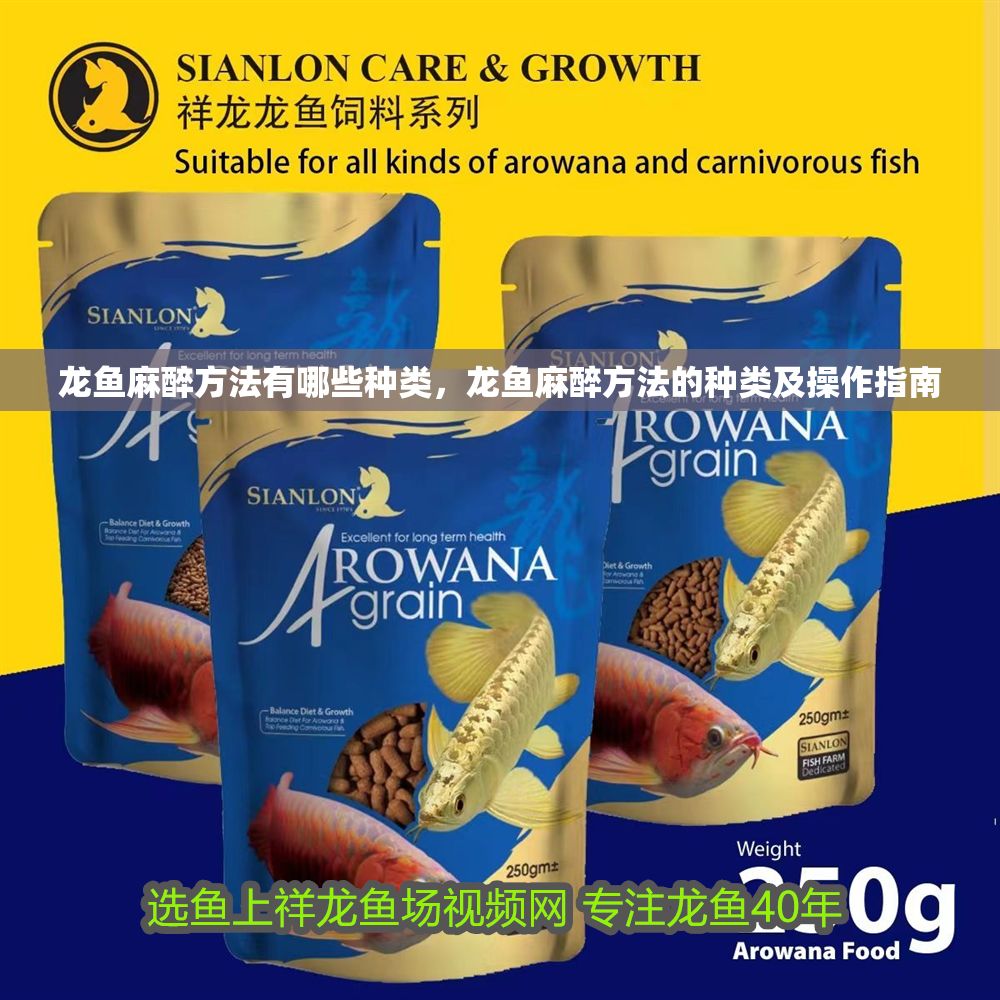 龍魚麻醉方法有哪些種類，龍魚麻醉方法的種類及操作指南