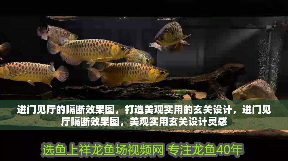 進門見廳的隔斷效果圖，打造美觀實用的玄關設計，進門見廳隔斷效果圖，美觀實用玄關設計靈感