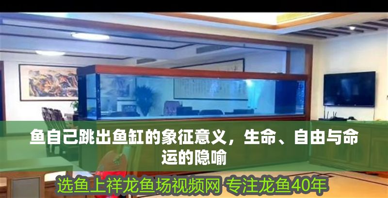魚自己跳出魚缸的象征意義，生命、自由與命運的隱喻