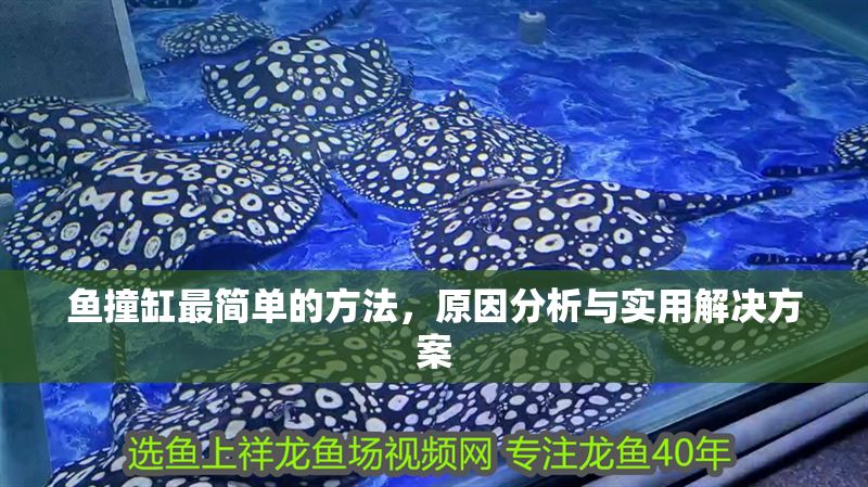 魚撞缸最簡(jiǎn)單的方法，原因分析與實(shí)用解決方案