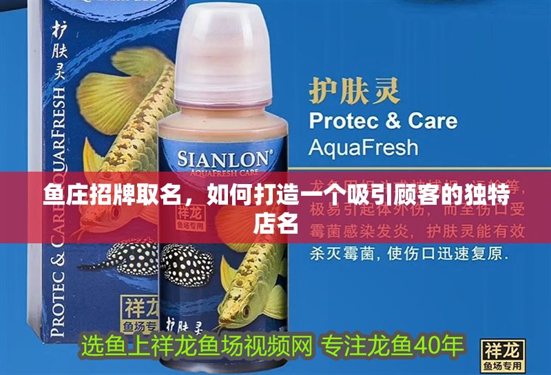 魚莊招牌取名，如何打造一個吸引顧客的獨特店名