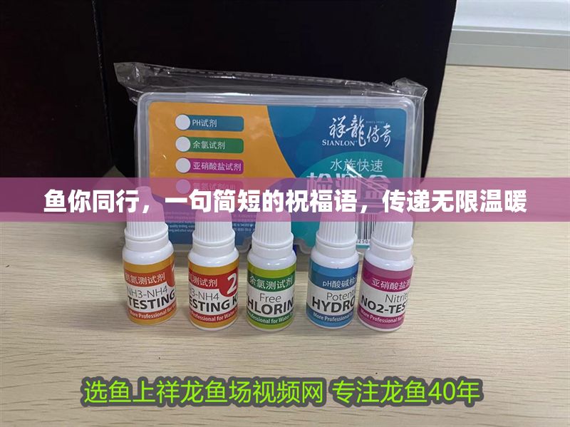 魚你同行，一句簡短的祝福語，傳遞無限溫暖