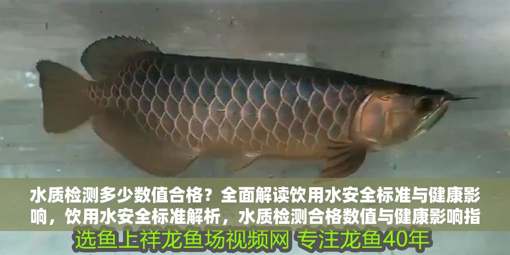 水質(zhì)檢測(cè)多少數(shù)值合格？全面解讀飲用水安全標(biāo)準(zhǔn)與健康影響，飲用水安全標(biāo)準(zhǔn)解析，水質(zhì)檢測(cè)合格數(shù)值與健康影響指南