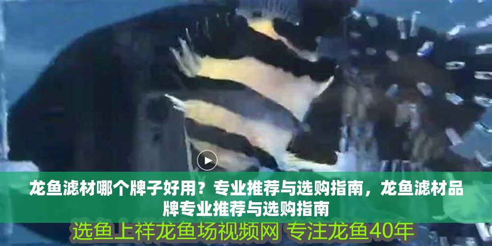 龍魚濾材哪個牌子好用？專業推薦與選購指南，龍魚濾材品牌專業推薦與選購指南
