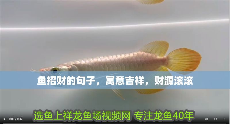 魚招財(cái)?shù)木渥樱⒁饧椋?cái)源滾滾