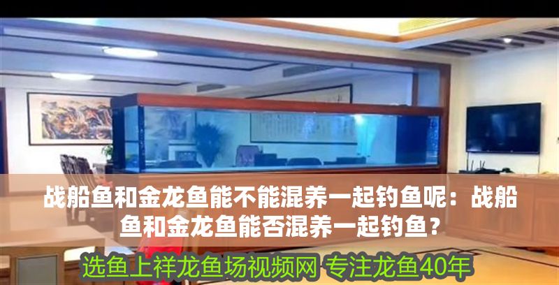 戰船魚和金龍魚能不能混養一起釣魚呢：戰船魚和金龍魚能否混養一起釣魚？