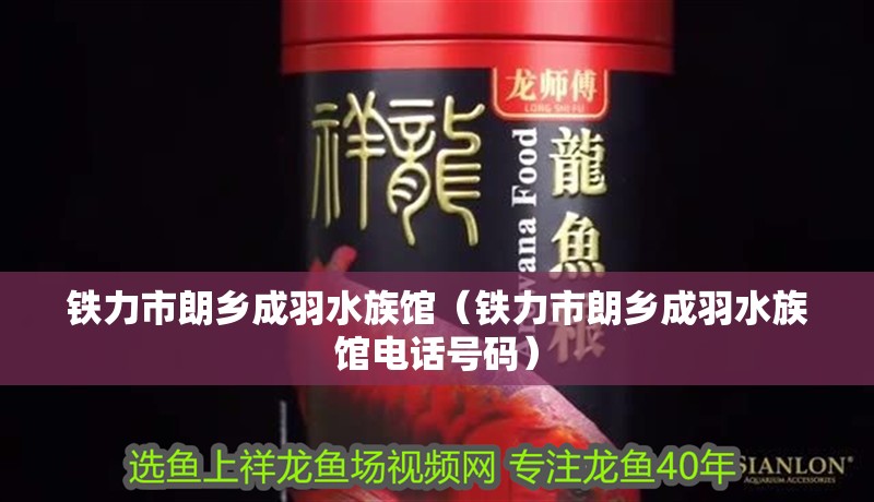 鐵力市朗鄉成羽水族館（鐵力市朗鄉成羽水族館電話號碼）