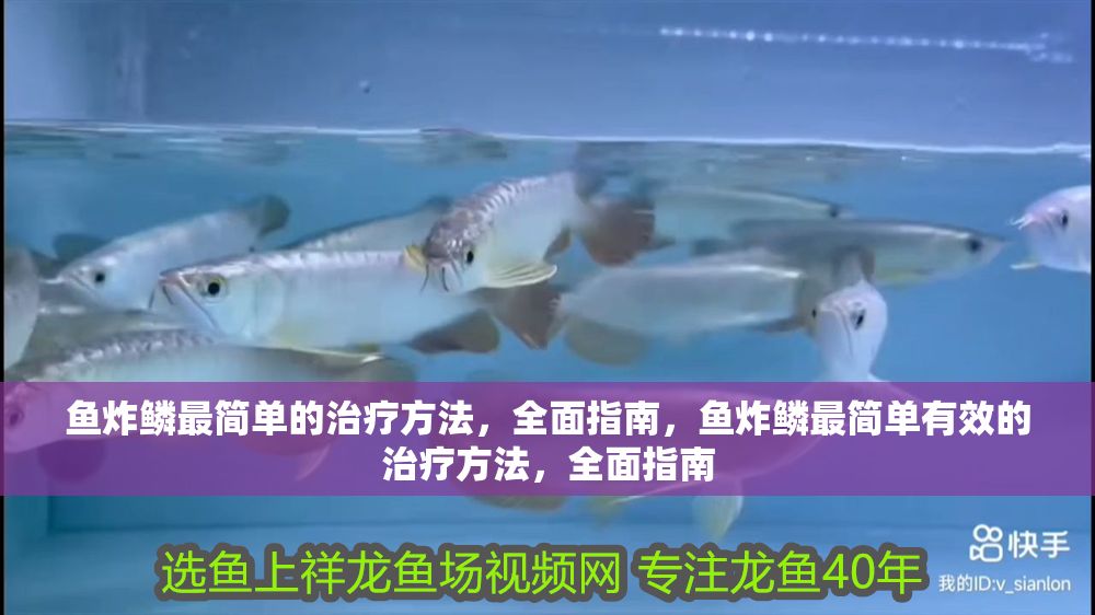 魚炸鱗最簡單的治療方法，全面指南，魚炸鱗最簡單有效的治療方法，全面指南 魚炸鱗最簡單的治療方法，全面指南，魚炸鱗最簡單有效的治療方法，全面指南 龍魚常見疾病 第1張