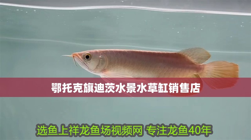 魚缸用增氧泵價格是多少:魚缸增氧機-xtrac增氧機-xtrac增氧機 鄂托克旗迪茨水景水草缸銷售店 全國水族館企業(yè)名錄 鄂托克旗迪茨水景水草缸銷售店 鄂托克旗迪茨水景水草缸銷售店 全國水族館企業(yè)名錄