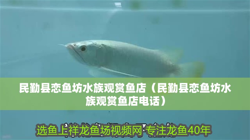 <strong><mark>民勤</mark></strong>縣戀魚坊水族觀賞魚店（<strong><mark>民勤</mark></strong>縣戀魚坊水族觀賞魚店電話）