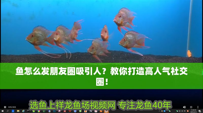 魚怎么發(fā)朋友圈吸引人?教你打造高人氣社交圈! 龍魚百科 第1張 魚怎么發(fā)朋友圈吸引人?教你打造高人氣社交圈! 魚怎么發(fā)朋友圈吸引人?教你打造高人氣社交圈! 龍魚百科 第1張