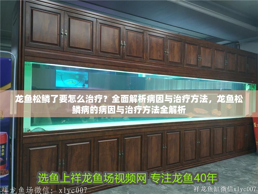 龍魚松鱗了要怎么治療？全面解析病因與治療方法，龍魚松鱗病的病因與治療方法全解析