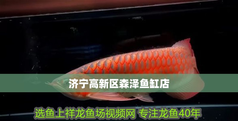 濟寧高新區森澤魚缸店