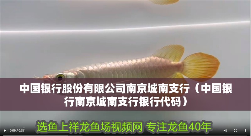 中國銀行股份有限公司南京城南支行(中國銀行南京城南支行銀行代碼)