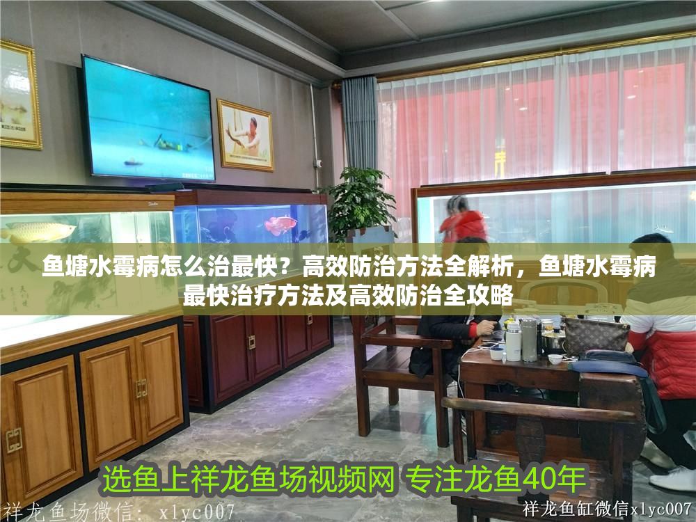魚塘水霉病怎么治最快？高效防治方法全解析，魚塘水霉病最快治療方法及高效防治全攻略 魚塘水霉病怎么治最快？高效防治方法全解析，魚塘水霉病最快治療方法及高效防治全攻略 龍魚常見疾病 第1張