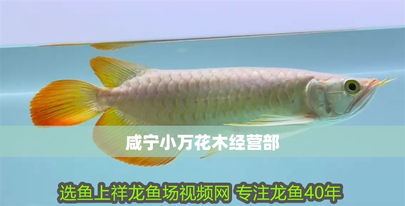 咸寧小萬花木經營部