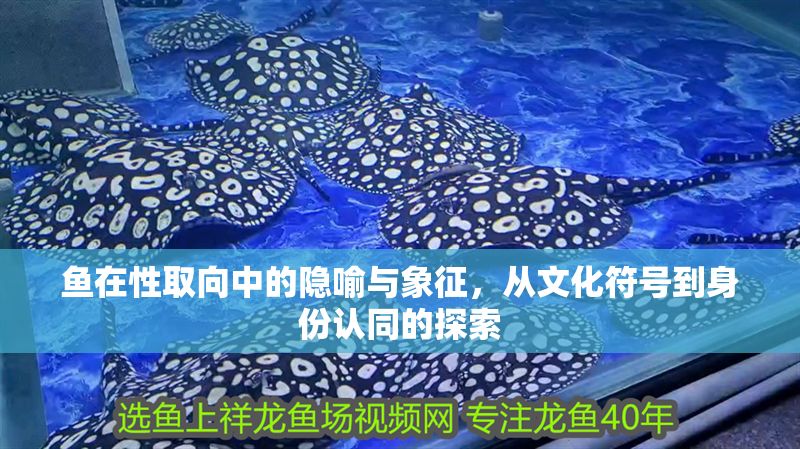 魚在性取向中的隱喻與象征，從文化符號到身份認同的探索
