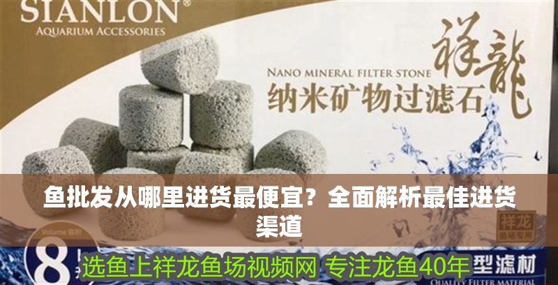 魚批發從哪里進貨最便宜?全面解析最佳進貨渠道 龍魚百科 第1張 魚批發從哪里進貨最便宜?全面解析最佳進貨渠道 魚批發從哪里進貨最便宜?全面解析最佳進貨渠道 龍魚百科 第1張