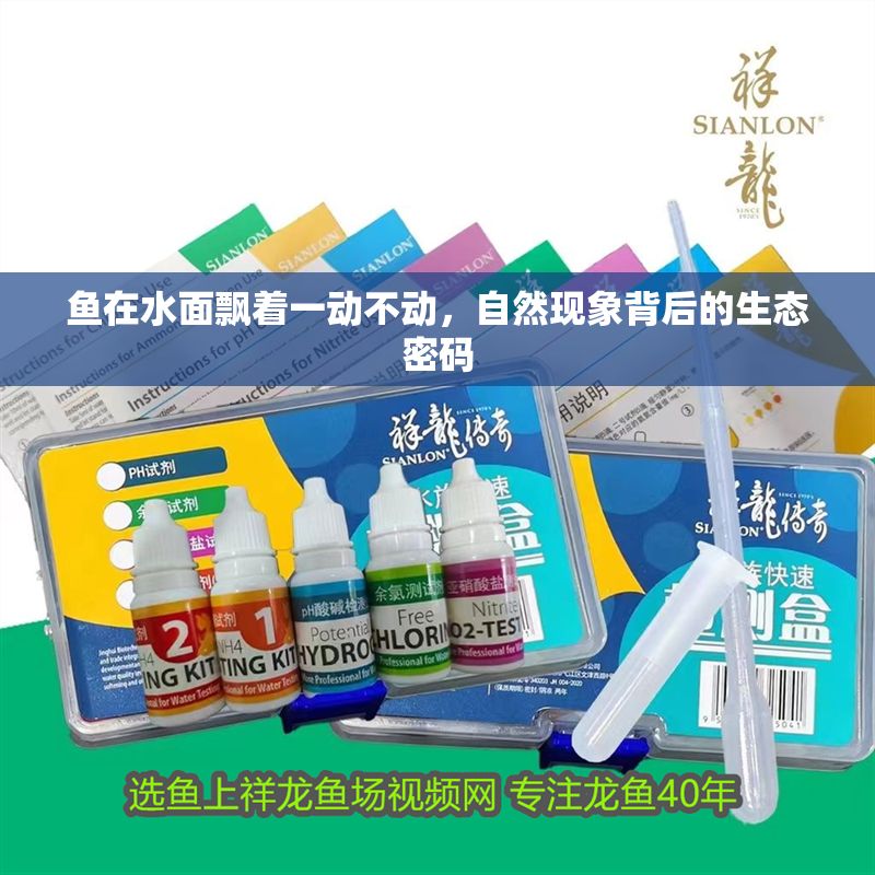 魚在水面飄著一動不動，自然現象背后的生態密碼