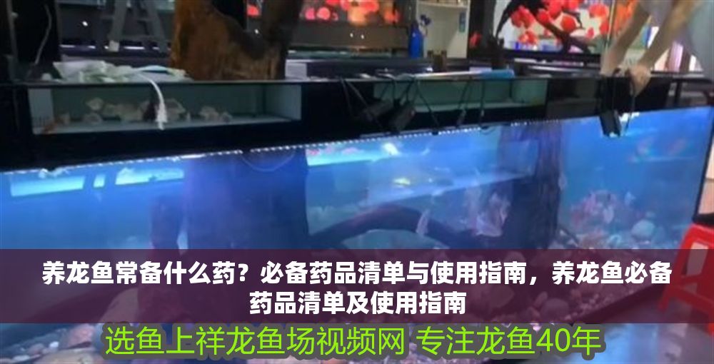 養龍魚常備什么藥？必備藥品清單與使用指南，養龍魚必備藥品清單及使用指南 養龍魚常備什么藥？必備藥品清單與使用指南，養龍魚必備藥品清單及使用指南 龍魚常見疾病 第1張